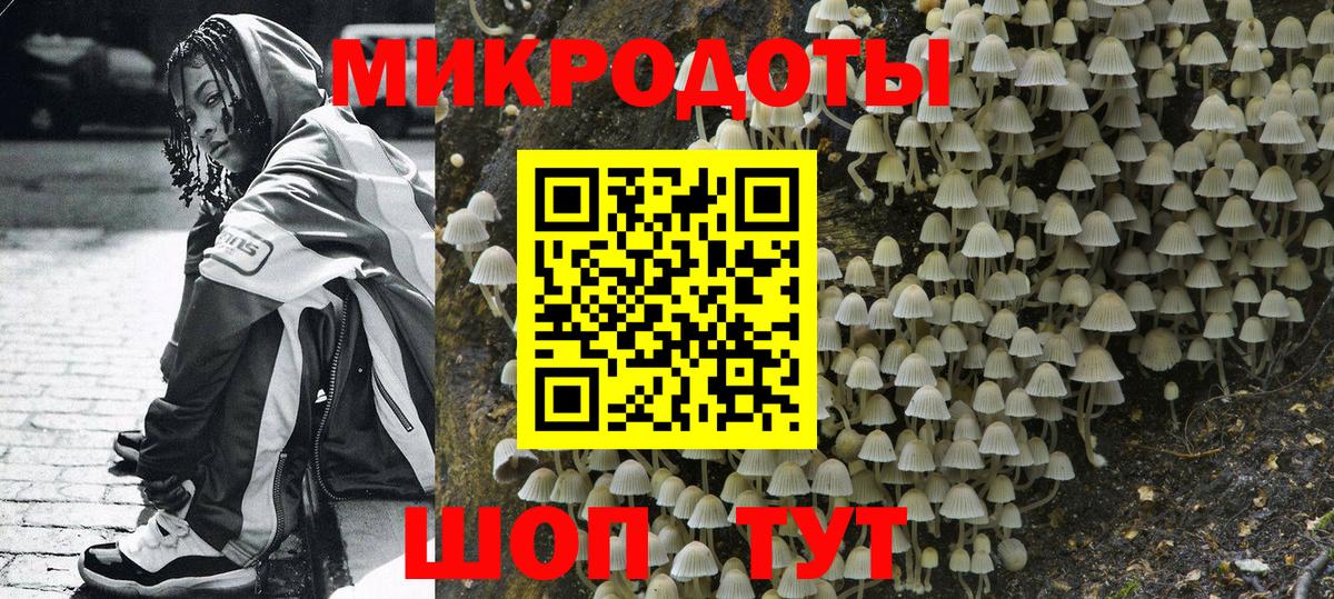 Галлюциногенные грибы Psilocybe Ногинск