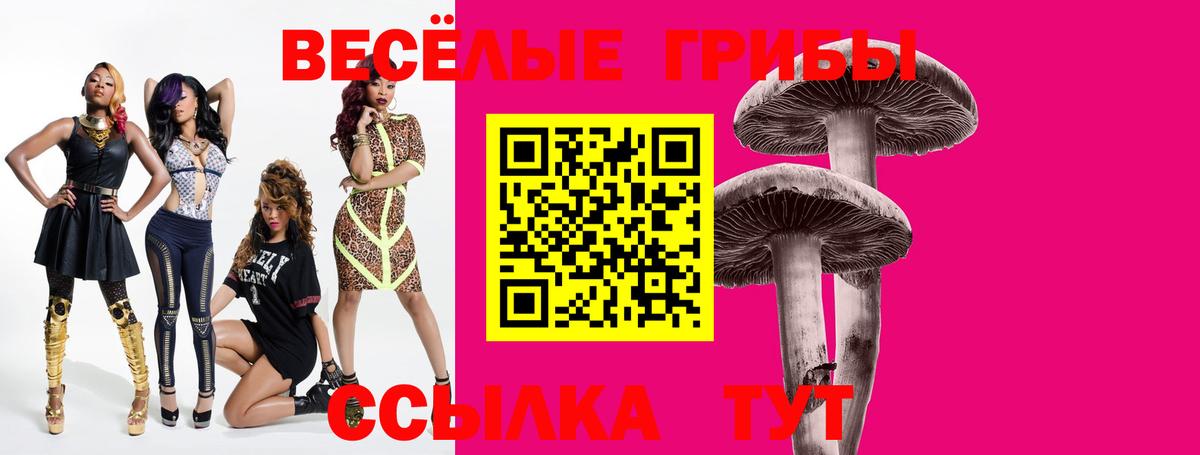 Псилоцибиновые грибы Cubensis  Вход с VPN  Ногинск 